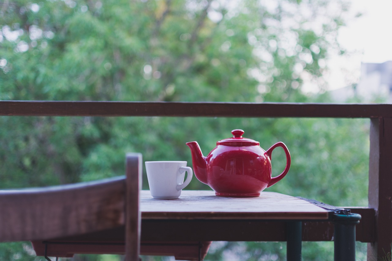 梵樾弟弟奇风茶言茶语，梵樾弟弟的奇风茶言茶语世界